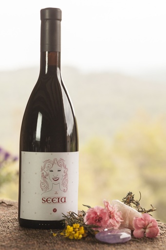 Vi negre Seera - CELLER MASIA TONICOLL